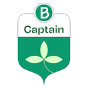Captain Badge